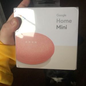 Google Home Mini